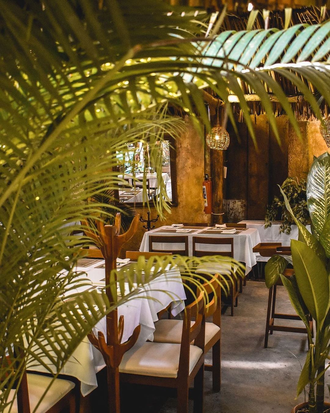 El restaurante Kinich obtiene el premio Traveller’s Choice 2020