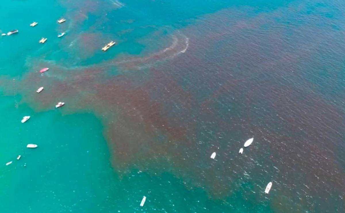 Marea roja afecta a pesca en Yucatán