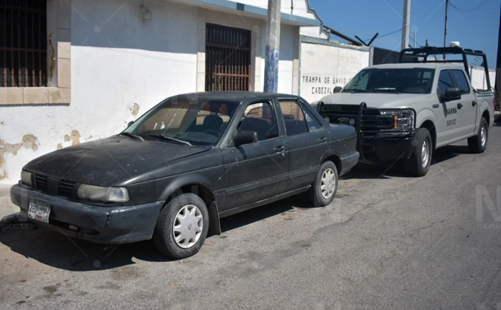 Encuentran y decomisan 240 kilos de pulpo dentro de un auto en Progreso