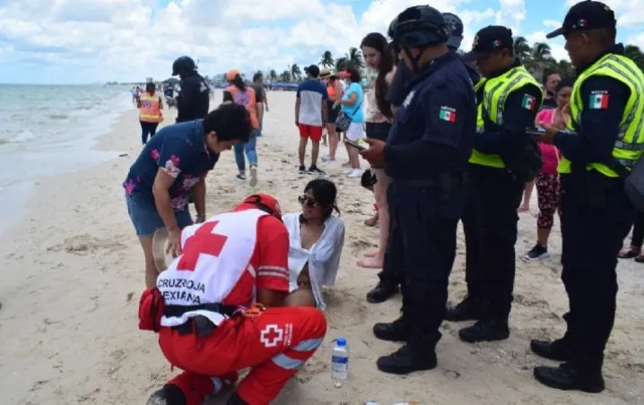 Marea roja: van 16 ataques de mantarrayas en Yucatán