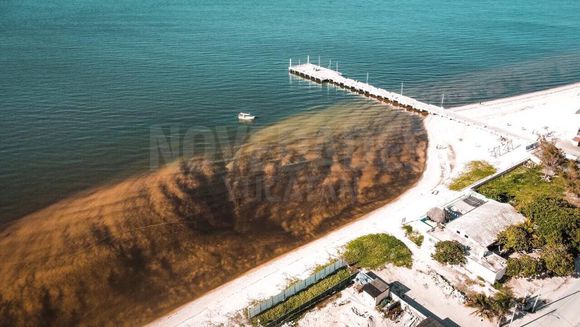 Marea roja afectará de lleno a Progreso a partir de este viernes