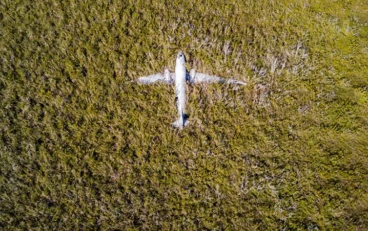 Revelan fotos del presunto avión de Pablo Escobar.