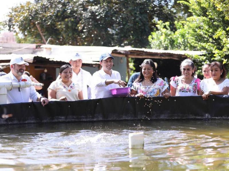 El Gobernador Mauricio Vila Dosal continúa respaldando proyectos de acuacultura para impulsar economía de familias del interior del estado.