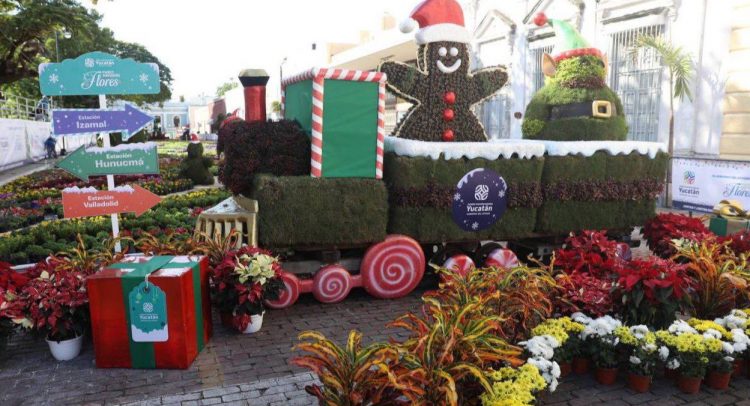 Paseo Navideño de las Flores ya está disponible al público