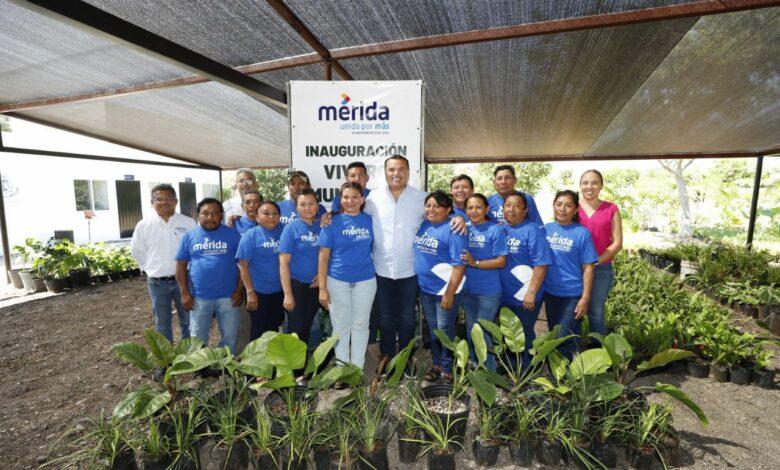 Inauguran ‘Vivero Municipal’ al poniente de Mérida