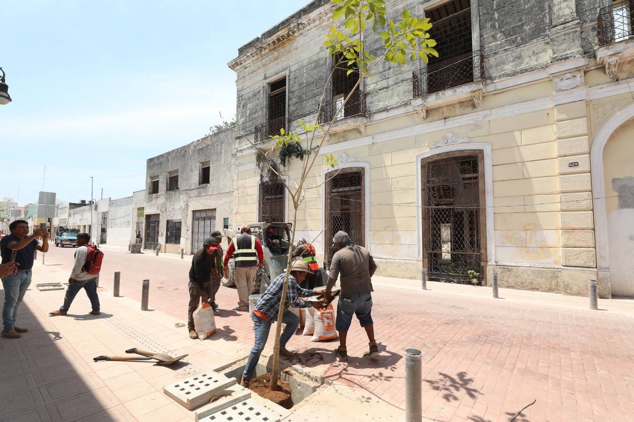 Siembran árboles en el Corredor Gastronómico, lo hará más tractivo a visitantes e inversionistas