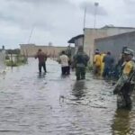 Huracán ‘Milton’ deja árboles caídos, inundaciones y cortes de luz en Yucatán