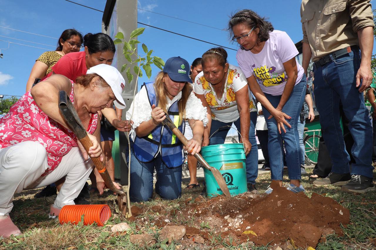 Invita Cecilia Patrón a las y los meridanos a la Cruzada Forestal; plantarán 8 mil 500 árboles en 18 días.