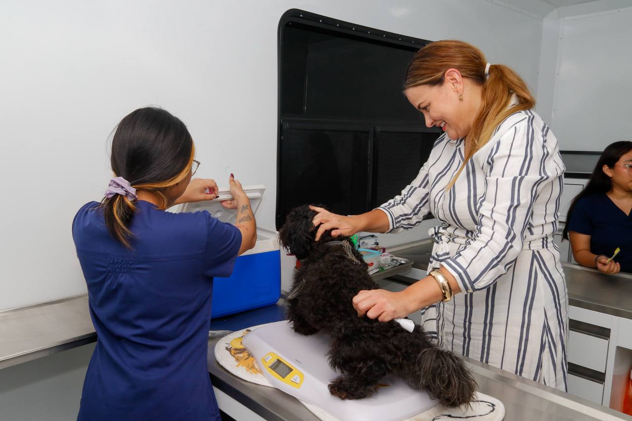 Cecilia Patrón impulsa el bienestar animal con Mega Jornada de Esterilización gratuita en Mérida.