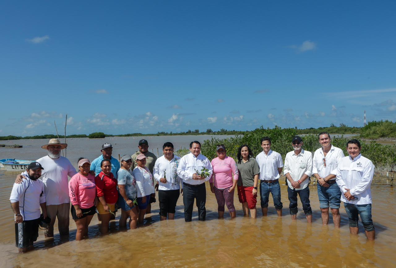 Yucatán lanza estrategia integral para restaurar ecosistemas costeros