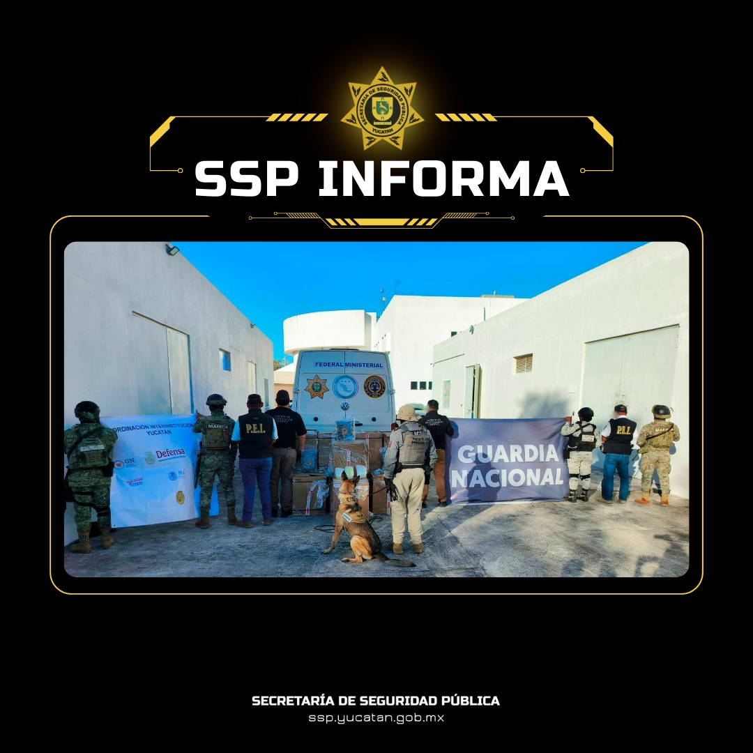 Detectan cargamento de droga en puesto de revisión en la carretera Mérida–Cancún; un detenido Detectan cargamento de droga en puesto de revisión en la carretera Mérida–Cancún; un detenido