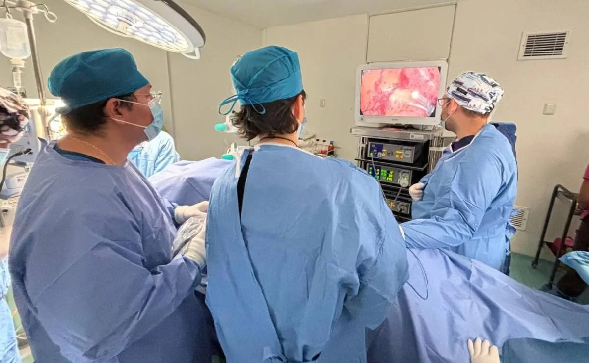 Yucatán impulsa cultura de donación en el Día Mundial del Trasplante de Órganos y Tejidos Yucatán impulsa cultura de donación en el Día Mundial del Trasplante de Órganos y Tejidos