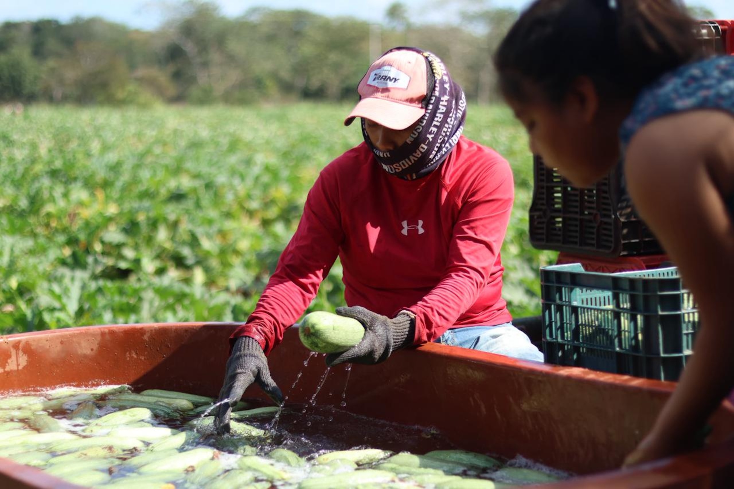 Caminos Renacimiento impulsa la movilidad productiva en Tizimín Caminos Renacimiento impulsa la movilidad productiva en Tizimín