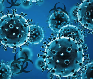 Europa en alerta por caso de gripe aviar en humano tras viaje a África