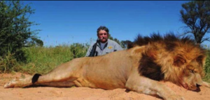 Fatal encuentro en la selva: elefantes matan a cazador de 75 años