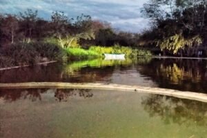 Una cadena de heroísmo y tragedia sacude a una familia en Izamal