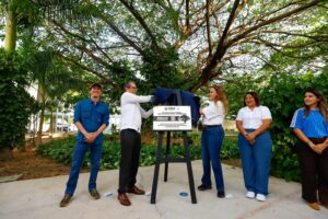 Avanza Cecilia Patrón en la protección de los árboles meridanos al declararlos patrimonio de la ciudad