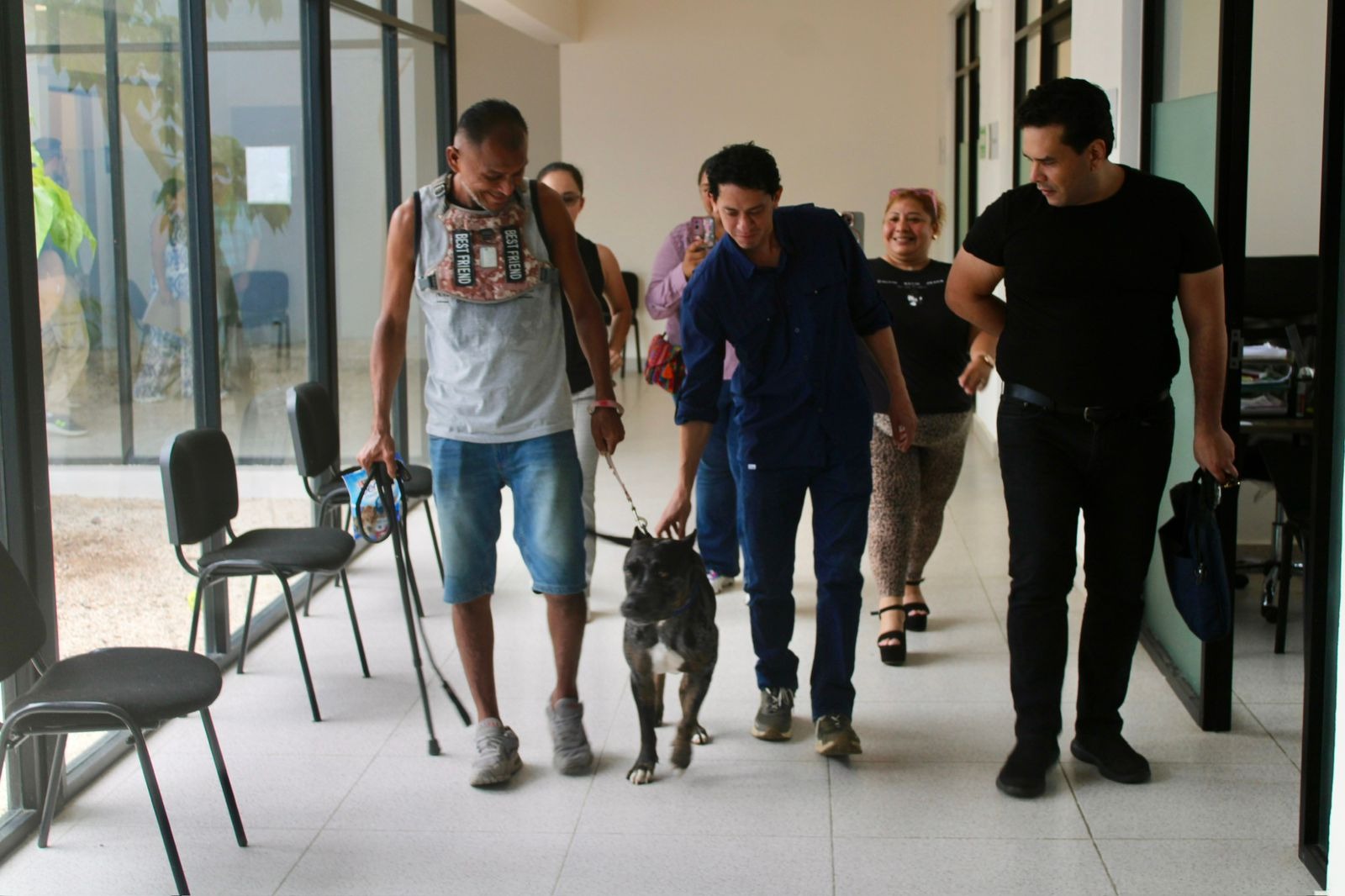 Zeus regresa a su hogar Zeus regresa a su hogar