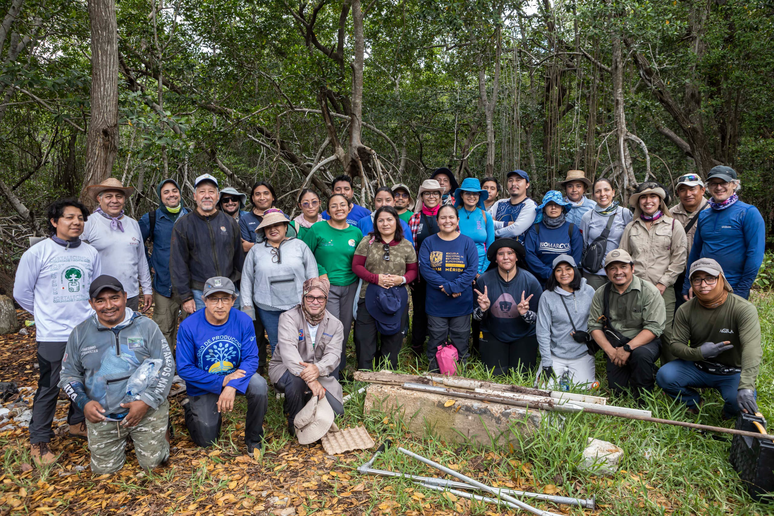 Especialistas crean red de carbono azul para conservar ecosistemas costeros Especialistas crean red de carbono azul para conservar ecosistemas costeros