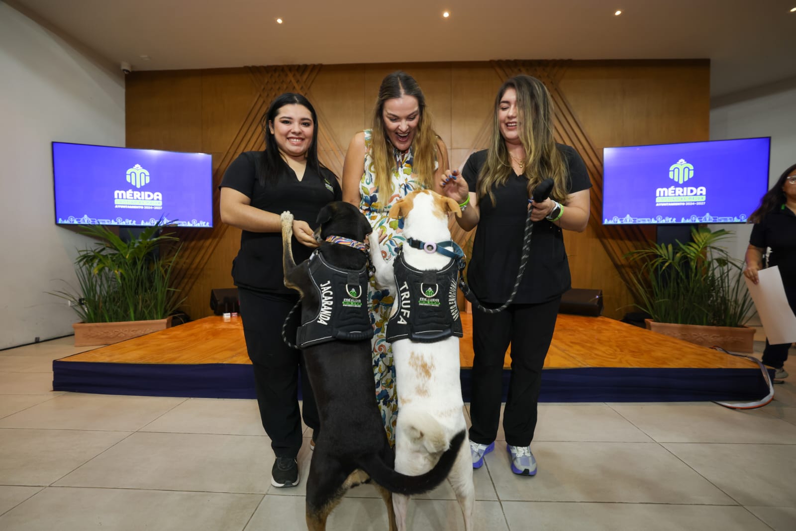 Más adopciones, más esterilizaciones y más acciones por el cuidado animal: Cecilia Patrón