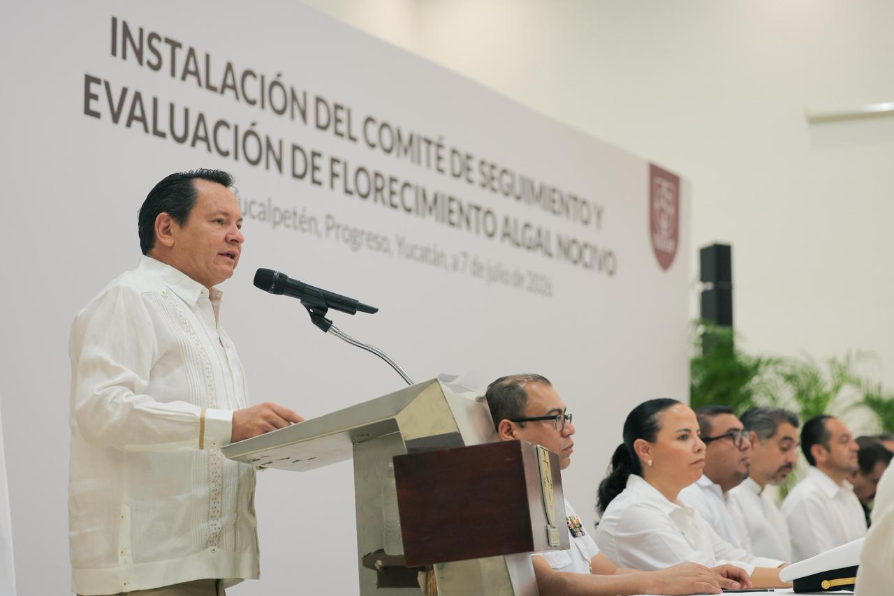Playas de Yucatán, vigiladas y seguras: Gobierno del Renacimiento Maya activa monitoreo permanente contra la marea roja Playas de Yucatán, vigiladas y seguras: Gobierno del Renacimiento Maya activa monitoreo permanente contra la marea roja