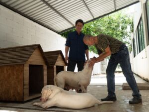 UMABA trabaja en una ruta para que perros de la Bojórquez puedan regresar con su propietario