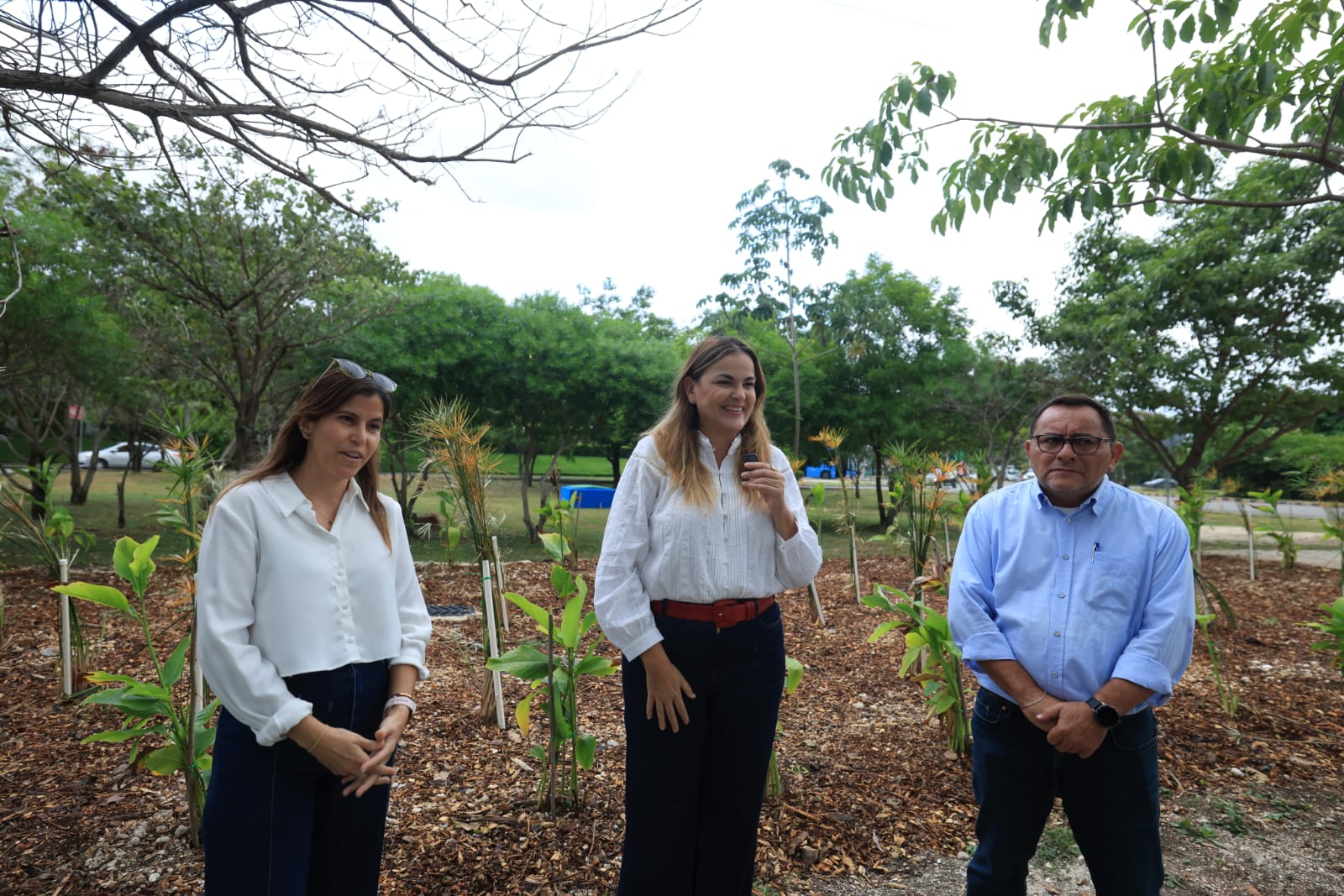 Cecilia Patron entrega primer jardín de lluvia para prevenir encharcamientos en Ciudad Caucel. Cecilia Patron entrega primer jardín de lluvia para prevenir encharcamientos en Ciudad Caucel.
