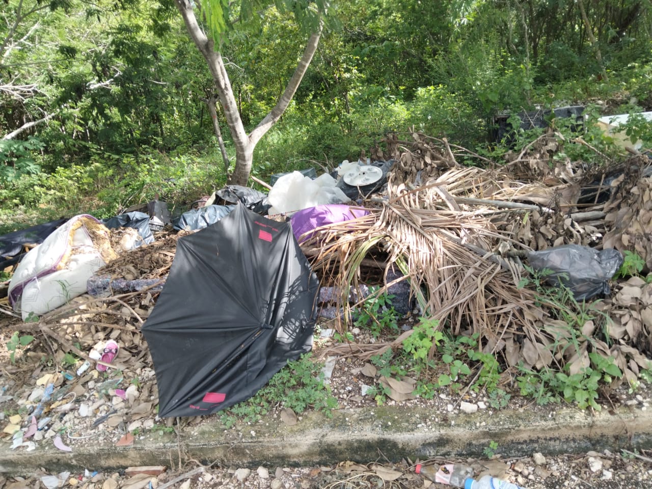Vecinos de Ángeles Caucel exigen atención a terrenos baldíos por inseguridad Vecinos de Ángeles Caucel exigen atención a terrenos baldíos por inseguridad