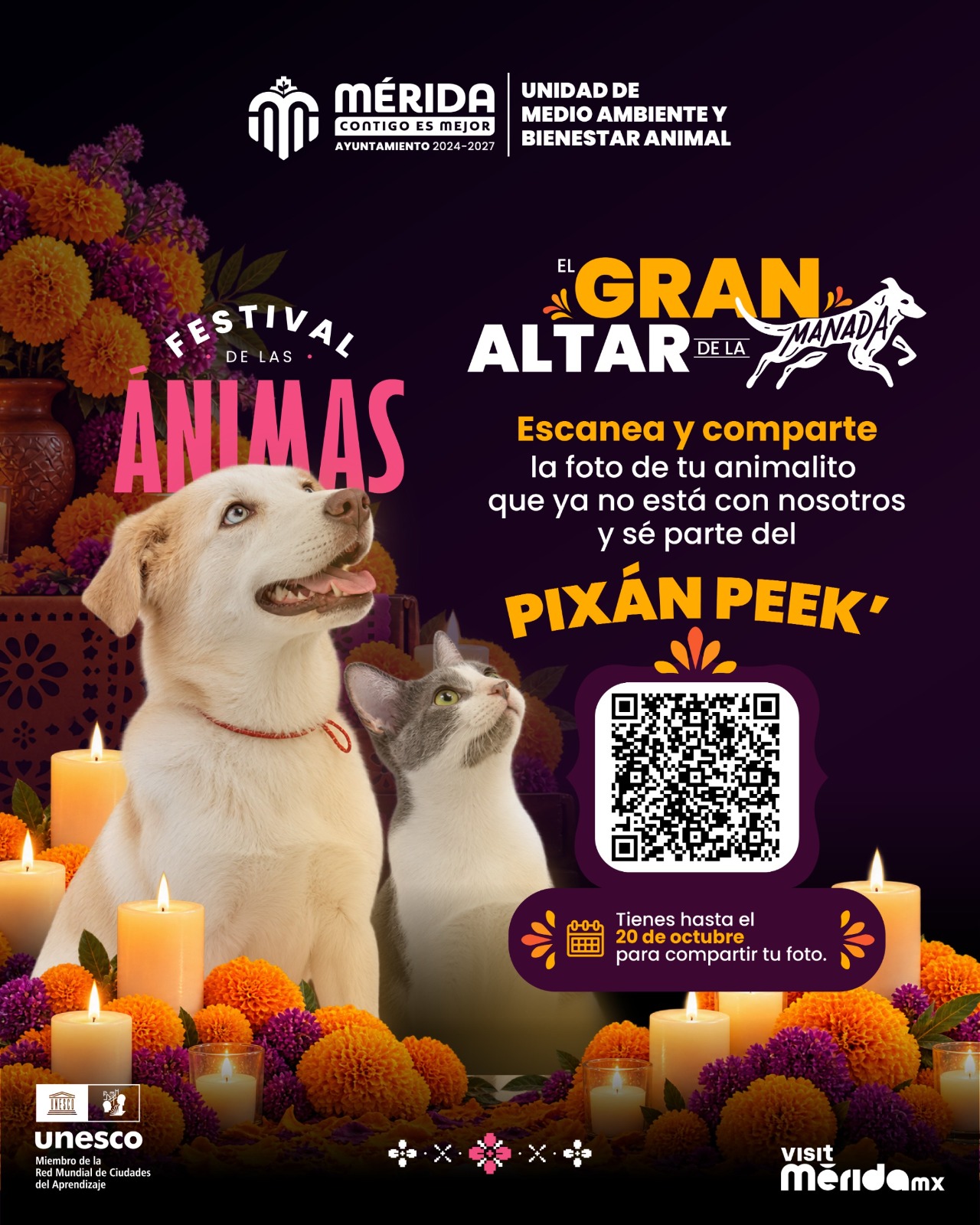 Pixán Peek del Ayuntamiento de Mérida, oportunidad para recordar a perros y gatos que dejaron huella. Pixán Peek del Ayuntamiento de Mérida, oportunidad para recordar a perros y gatos que dejaron huella.