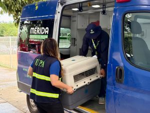 Oso y Blanquis fueron entregados voluntariamente al CEMAA por su tutor.